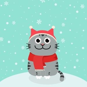 Meet your Posher, Marti